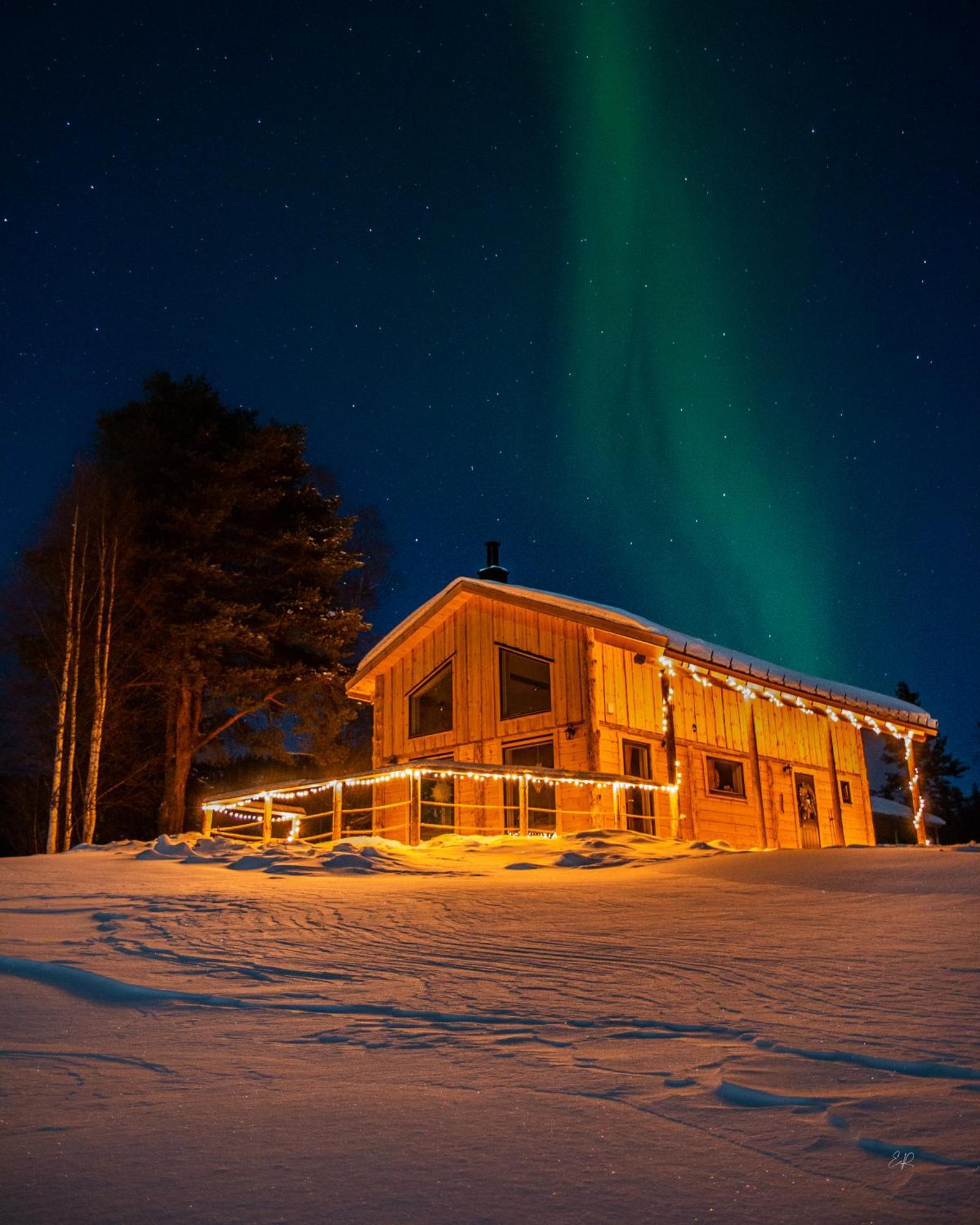 Blueberry Lodge 5 Personnes Mjolan Ngoại thất bức ảnh