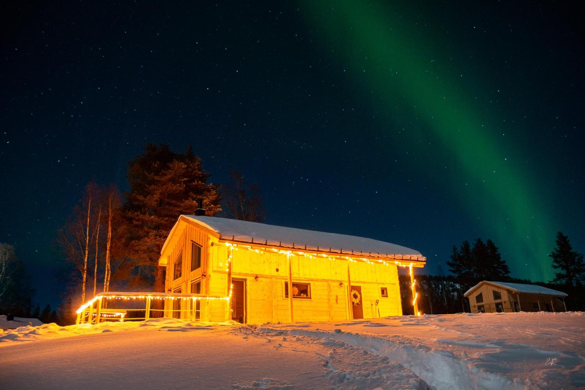 Blueberry Lodge 5 Personnes Mjolan Ngoại thất bức ảnh
