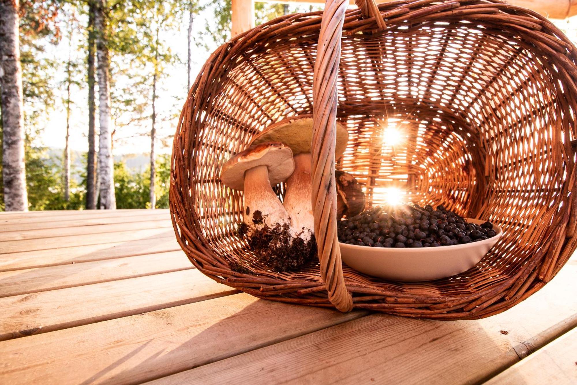 Blueberry Lodge 5 Personnes Mjolan Ngoại thất bức ảnh